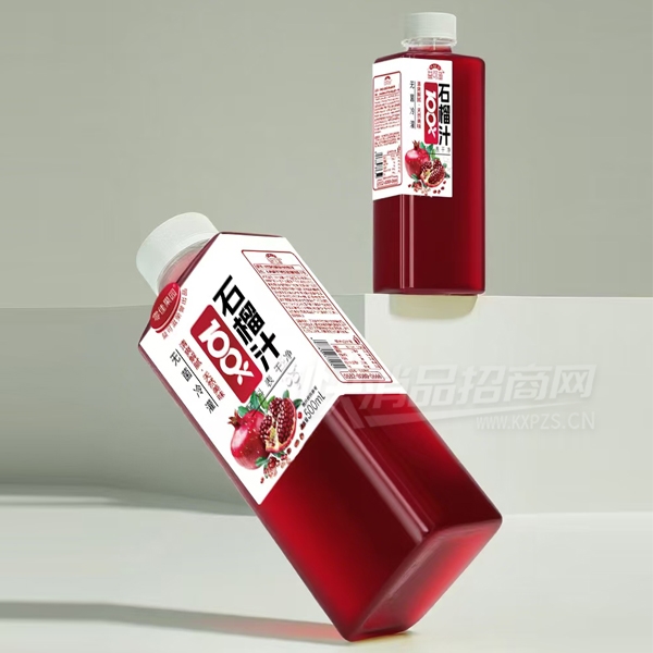 ����̹�֭����ʯ��֭500ml