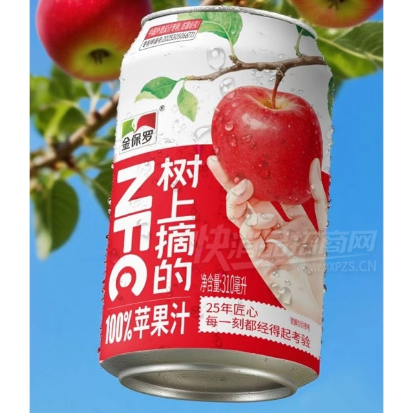 ��������ժ�Ĺ�֭������ƻ��֭310ml��Ʒͼ