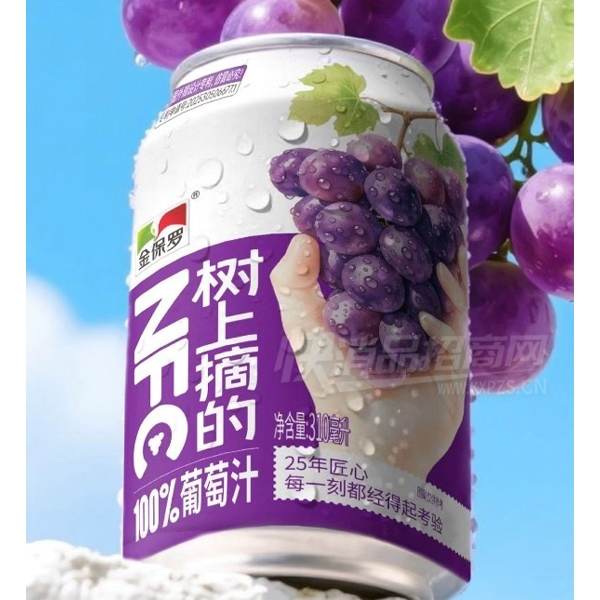 ��������ժ�Ĺ�֭����������֭310ml��Ʒͼ