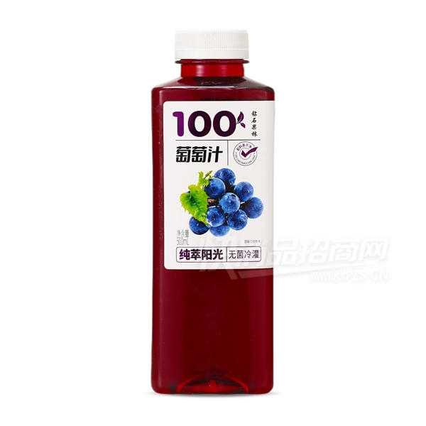 ��ʯ��������֭500ml���Ϲ�֭�������̲�Ʒͼ