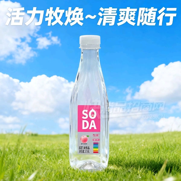 �����մ�ˮ��������ˮ375ml����ζ