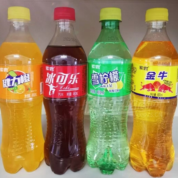 �۱�1Ԫ��Ʒ����̼��������ˮ480ml