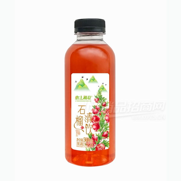 ���ϳ���ʯ����������֭��Ʒ500ml��Ʒͼ