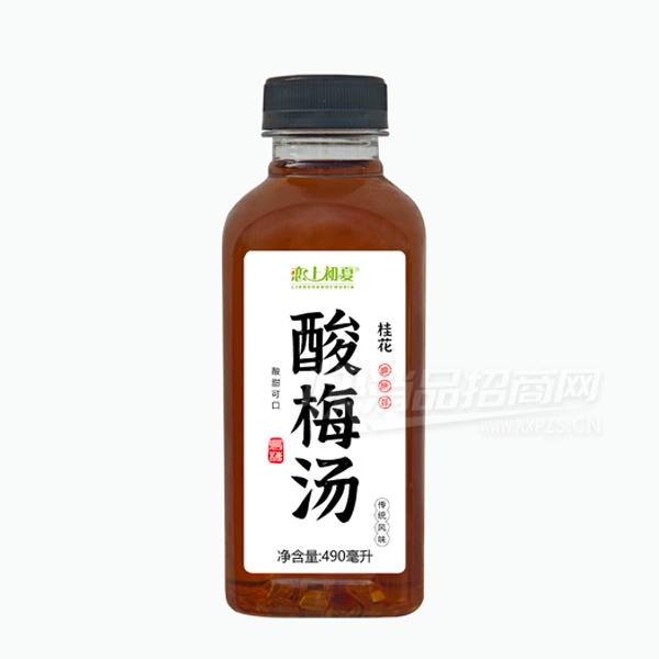 ���ϳ�����÷��490ml��֭���ϲ�Ʒͼ