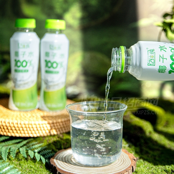 �ڼѴ�100%Ҭ��ˮ���̹�֭���ϲ�Ʒͼ