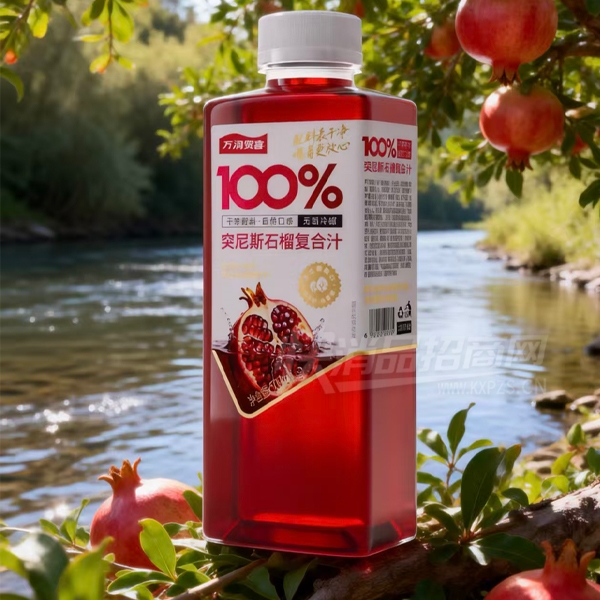 �����ϲʯ��֭���Ϲ�֭����500ml