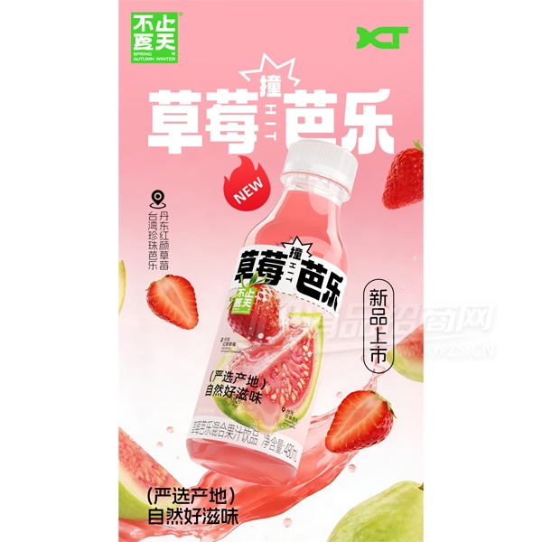 ��ֹ�����Ϲ�֭��ݮ����֭480ml