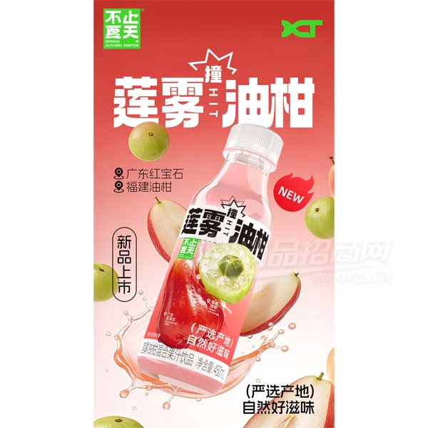��ֹ�����Ϲ�֭�����͸�֭480ml