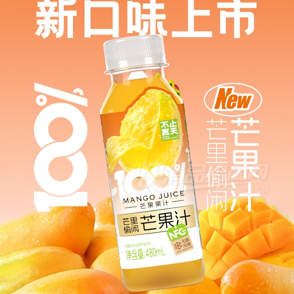 ��ֹ�����֭����â��֭480ml��Ʒͼ