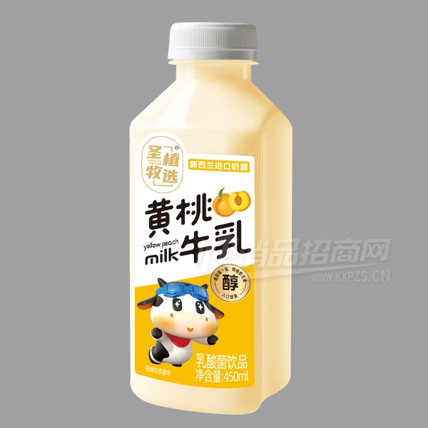 ����ţ���������Ʒ450ml��Ʒͼ