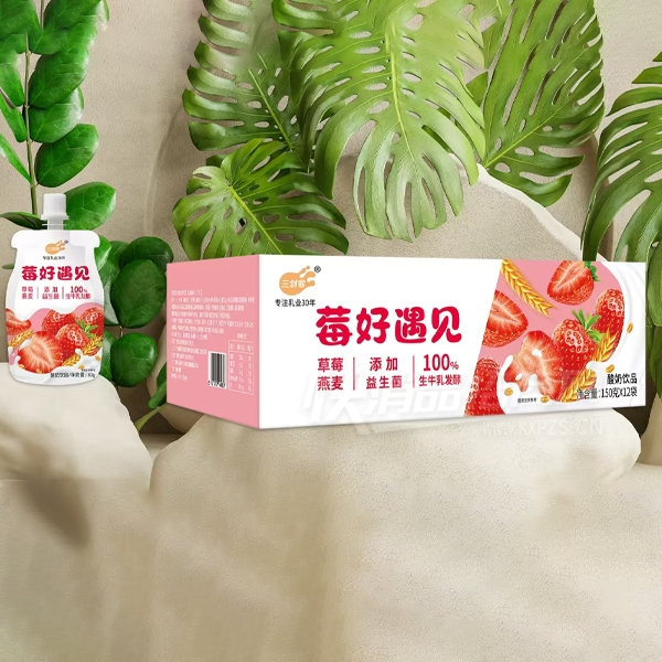 ������ݮ��������ݮ������Ʒ150gX12����Ʒͼ