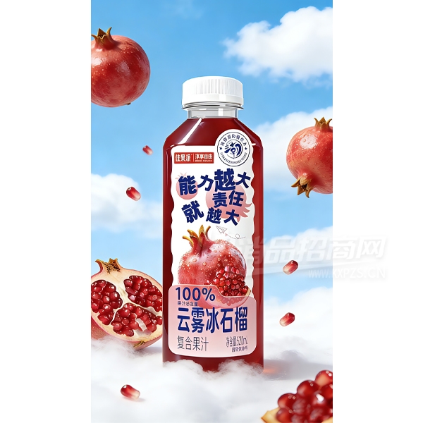 �ѹ���������ʯ�񸴺Ϲ�֭520ml��Ʒͼ