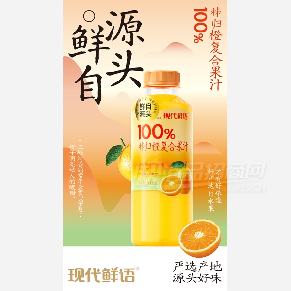 �ִ������֭�������������֭500ml��Ʒͼ