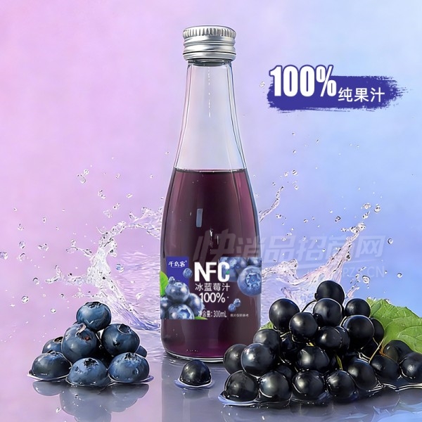 ǧ��ͱ���ݮ֭��֭����300ml