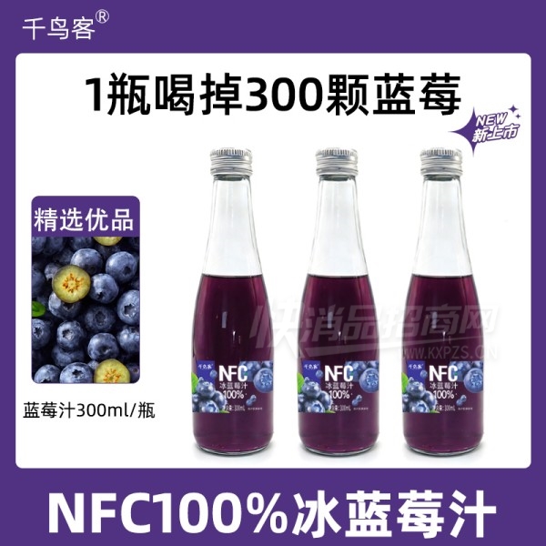 ǧ��ͱ���ݮ֭��֭���ϴ���300ml