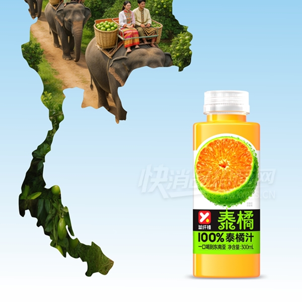 ������̩��֭��֭����300ml����������Ʒͼ