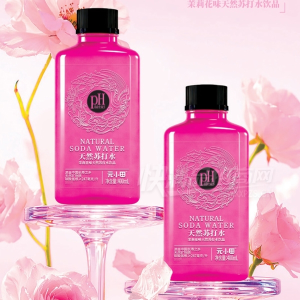 ԪС����Ȼ�մ�ˮ����ˮ400ml��Ʒͼ