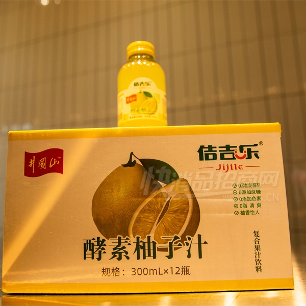 ٥���ֽ�������֭300mlX12ƿ��ζ���ϲ�Ʒͼ