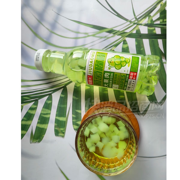 ����ľ���ѷ�ζҬ������֭����450ml���̲�Ʒͼ