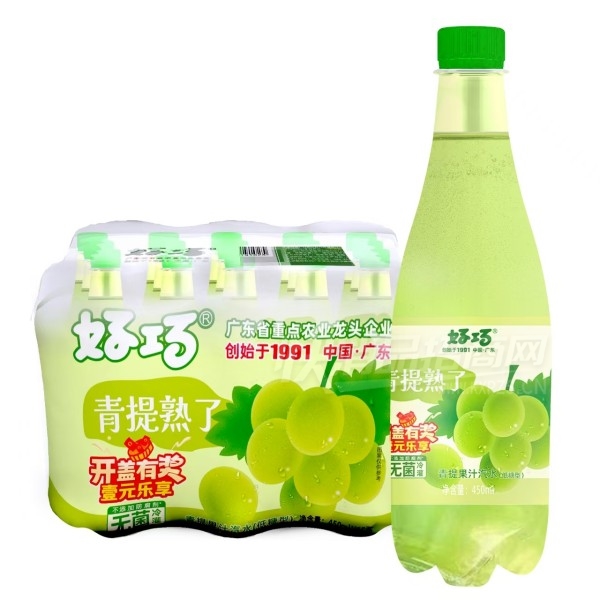 �����������˹�֭��ˮ450ml��15ƿ��Ʒͼ
