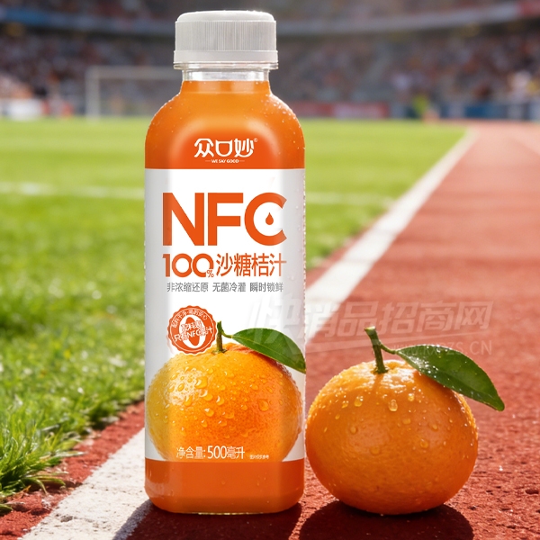 �ڿ����֭NFC��֭ɳ�ǽ�֭500ml