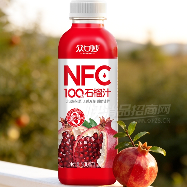 �ڿ����֭��Ʒʯ��֭500ml