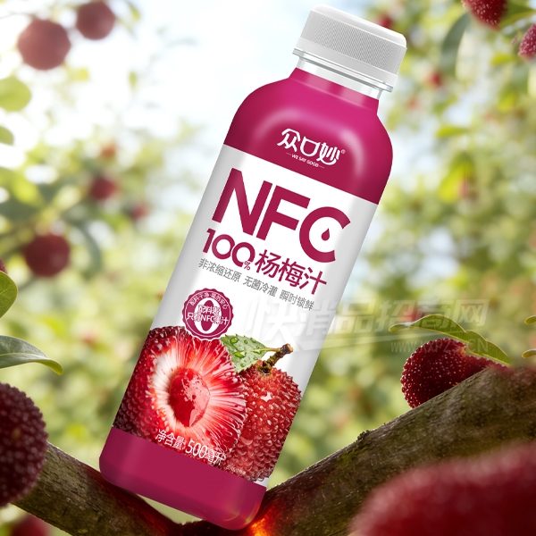 �ڿ����֭��Ʒ��÷֭500ml