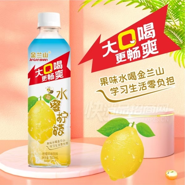 ����ɽ���ʷ�ζ����500ml