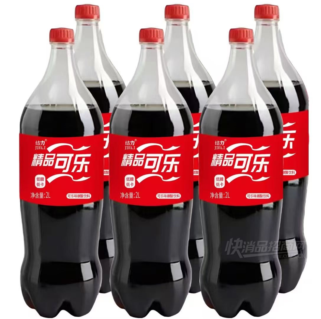 ������Ʒ����̼������2L