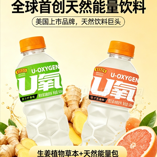 REED��֭�˲λ���ά���ع�������500ml