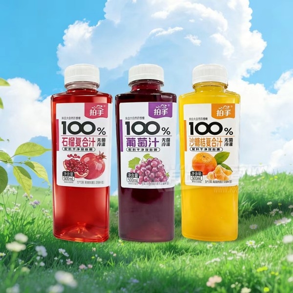 ����NFC��֭����500ml��Ʒͼ