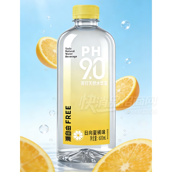�������մ�ˮ��Ʒ��������ζ600ml��Ʒͼ
