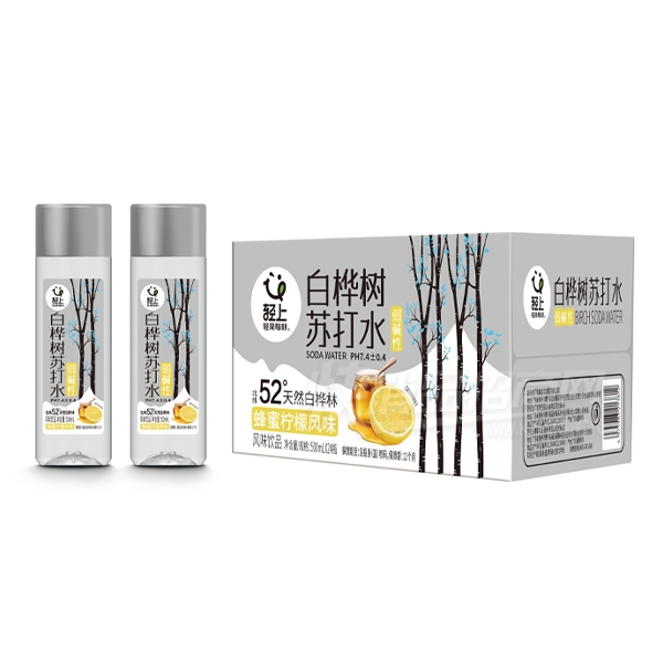 ���ϰ������մ�ˮ�������ʷ�ζ500ml��Ʒͼ