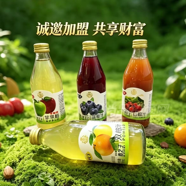 ��֮�Ӹ��Ϲ�֭����320ml��Ʒͼ
