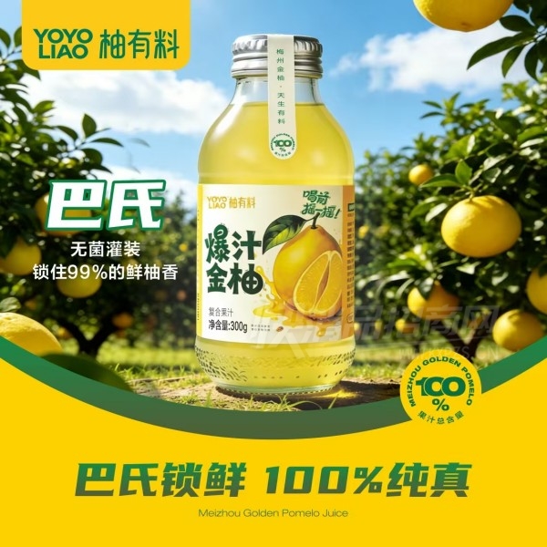 �����ϱ�֭���ָ��Ϲ�֭300g��Ʒͼ