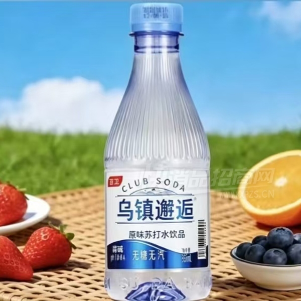 ��������ԭζ�մ�ˮ��Ʒ365ml