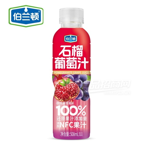 �޾����װ������100%��֭ʯ������֭500ml