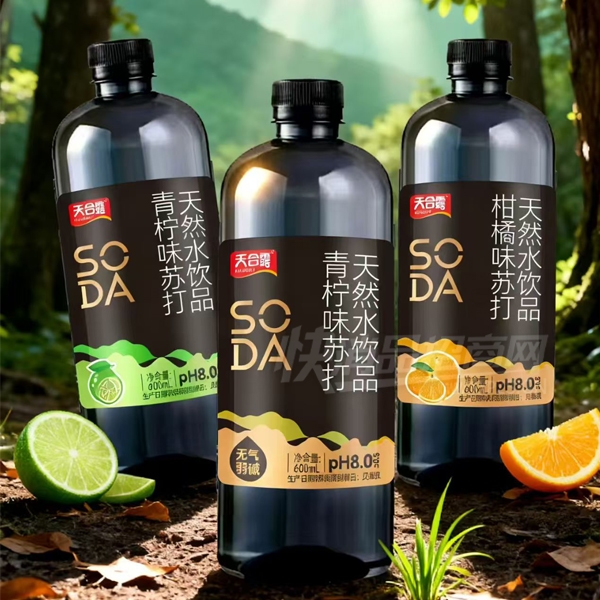 ���¶����ζ�մ���Ȼˮ��Ʒ600ml