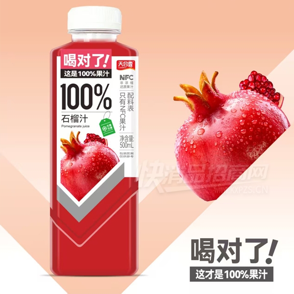 ���¶ʯ��֭���Ϲ�֭����500ml