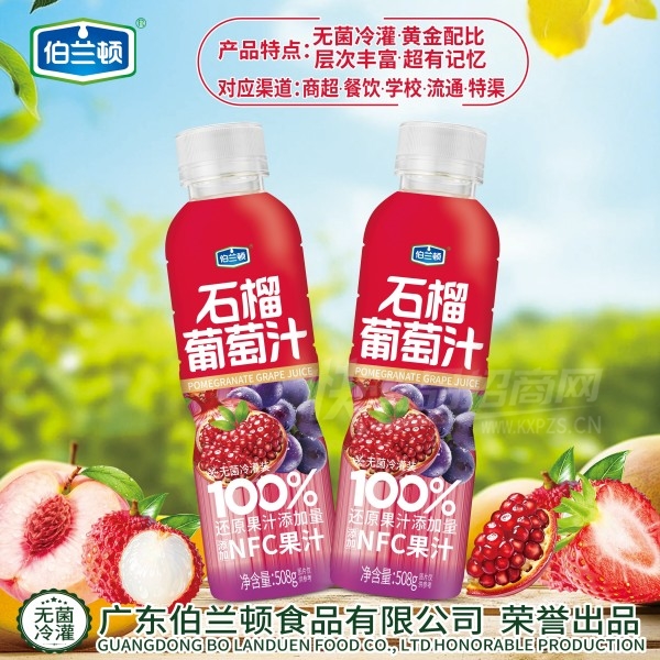 �������޾����װʯ������֭��֭����508g