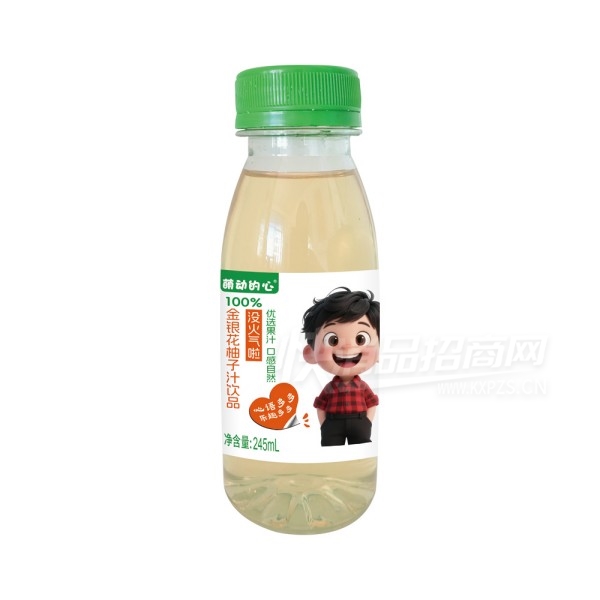 �ȶ����Ľ���������֭��Ʒ245ml��Ʒͼ
