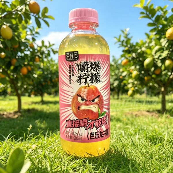 ���ʶ�������ʹ�֭�����ϰ�������500ml��Ʒͼ