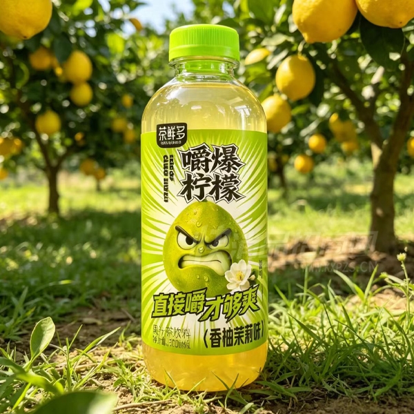 ���ʶ�������ʹ�֭��������������500ml��Ʒͼ