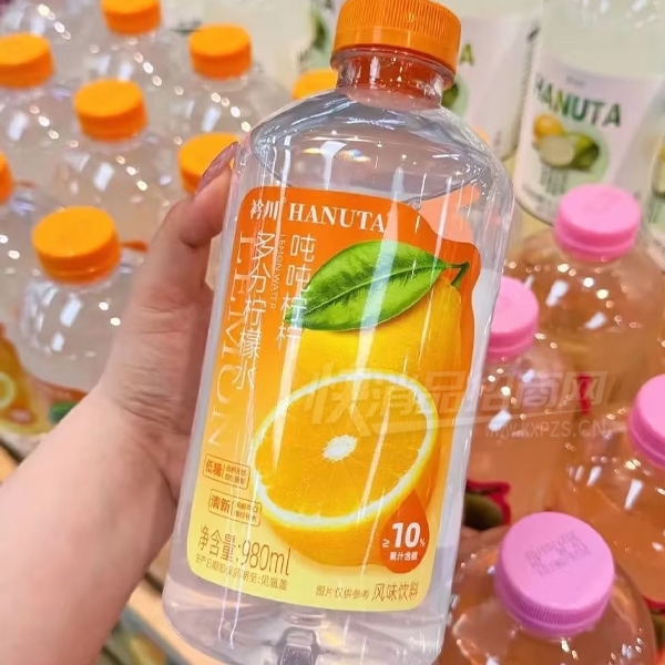 �洨�ֶֶ������ˮ980ml��Ʒͼ