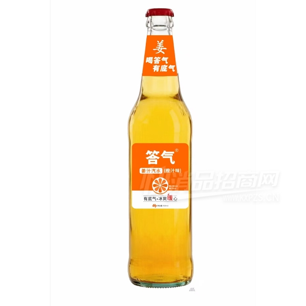 ������֭��ˮ��֭ζ500ml