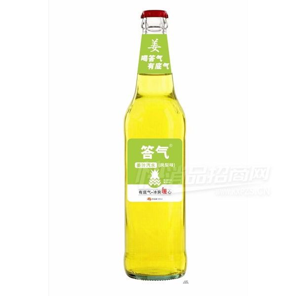 ������֭��ˮ����ζ500ml