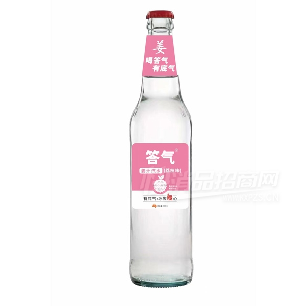 ������֭��ˮ��֦ζ500ml