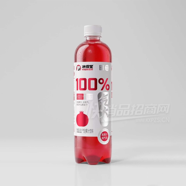���ñ�����ʯ��֭���ݹ�֭����450ml