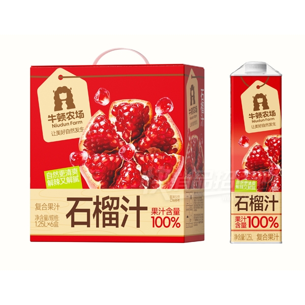 ţ��ũ��ʯ��֭���Ϲ�֭1.25L��6