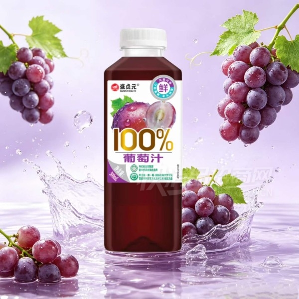 ʢ��Ԫ���Ѹ��Ϲ�֭����֭500ml